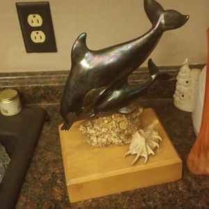 Dolphins statute